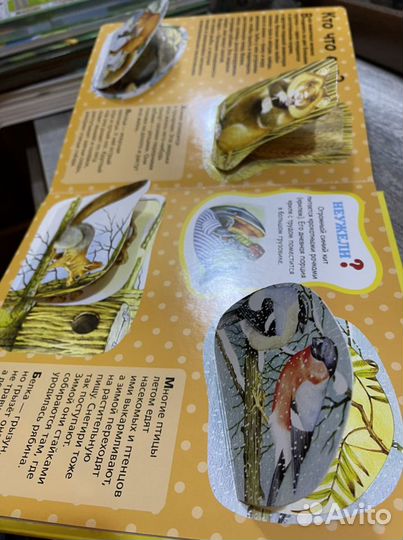 Детская энциклопедия с окошками и Млекопитаюшие