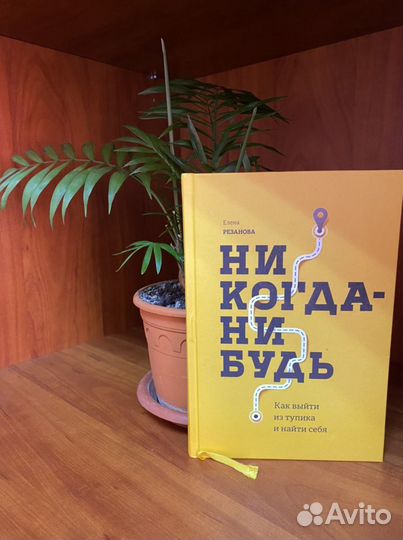 Книга «Никогда нибудь»