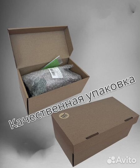 Кашпо Грут со стабилизированным мхом