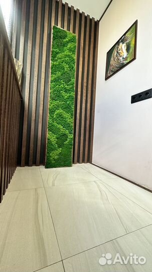 Грут. Мох. Статуэтка. Подарок