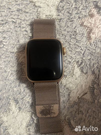 Apple watch