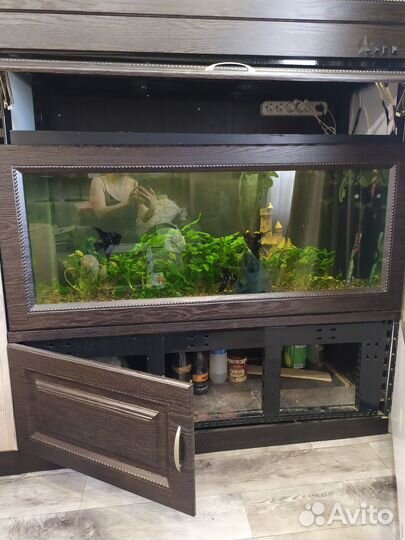 Аквариум с тумбой