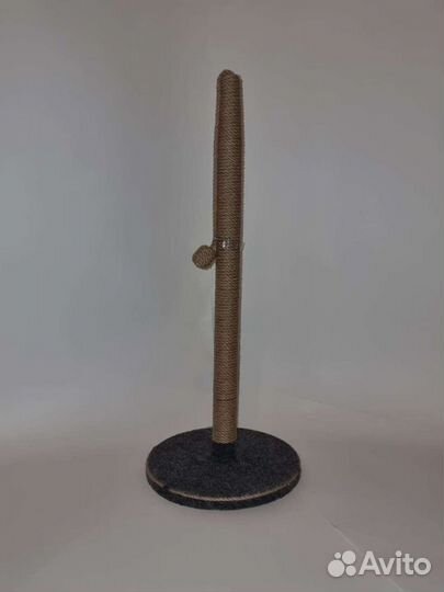 Новая когтеточка