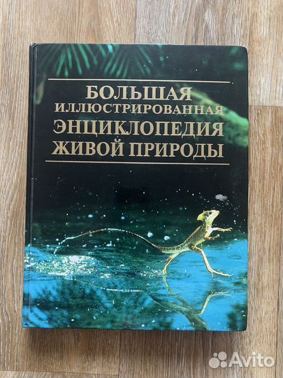 Иллюстрированная энциклопедия