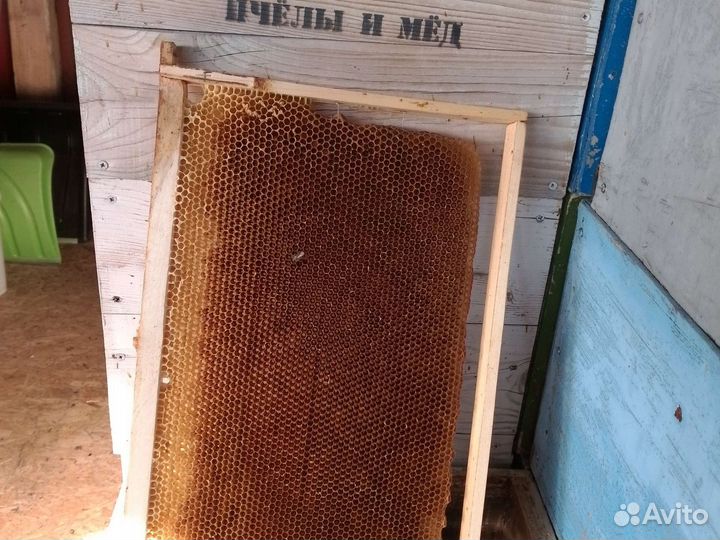 Сушь для пчел