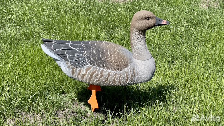 Чучела гусей поле- вода