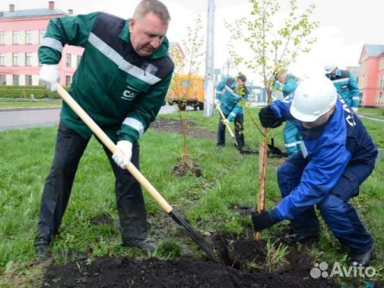 Разнорабочие подсобники землекопы русские