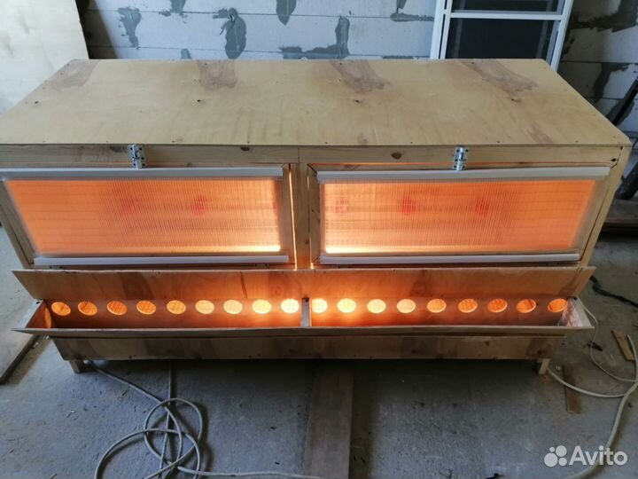 Брудер для цыплят