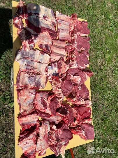 Мясо говядина домашняя