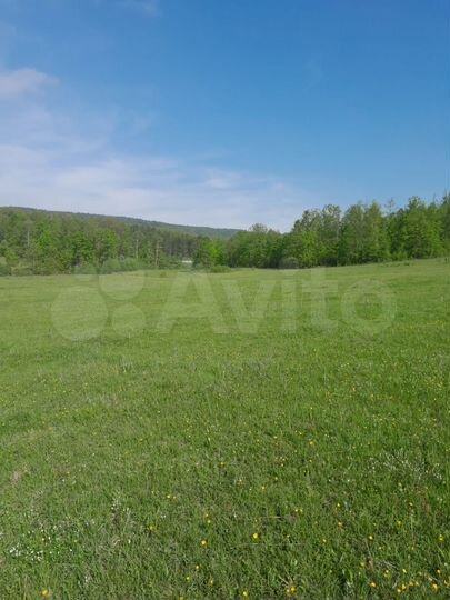 Участок 2 га (СНТ, ДНП)