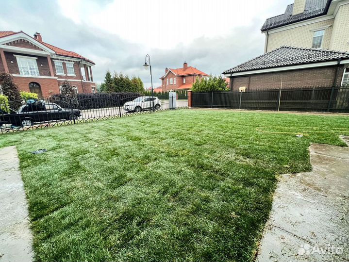 Рулонный газон от производителя. Укладка газона