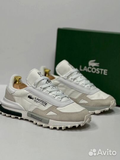 Кроссовки Lacoste premium