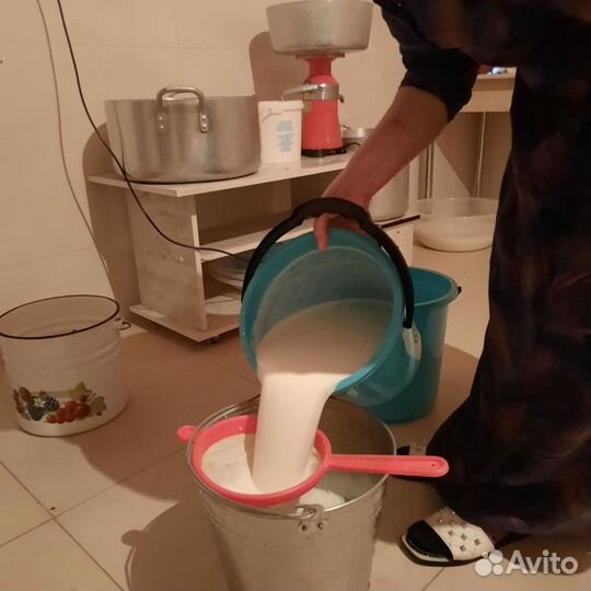 Молочные продукты