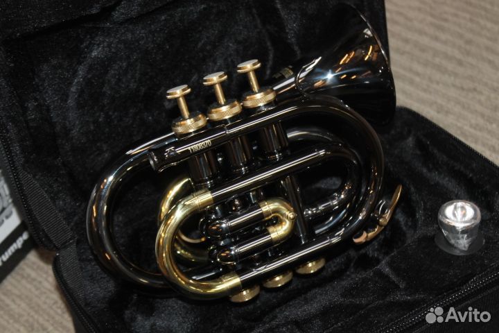 Карманная труба Roy Benson TR-101K