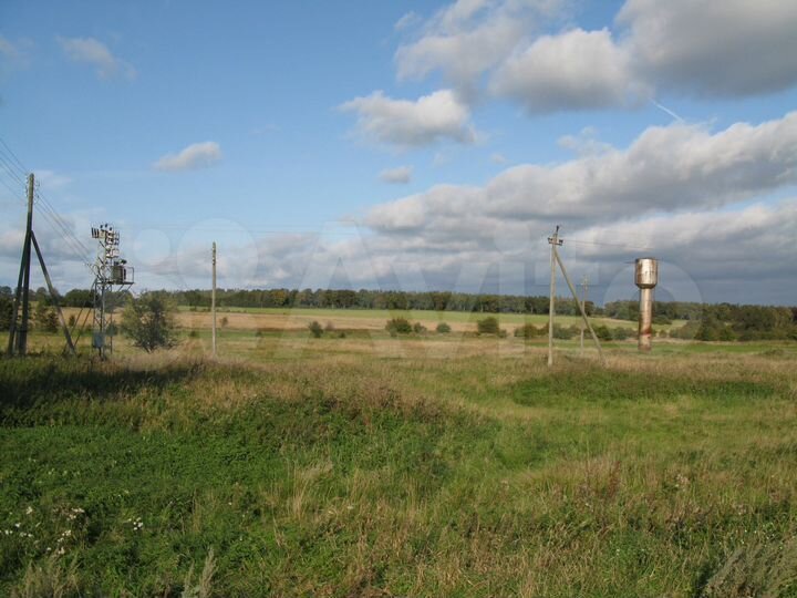 Участок 1,69 га (СНТ, ДНП)