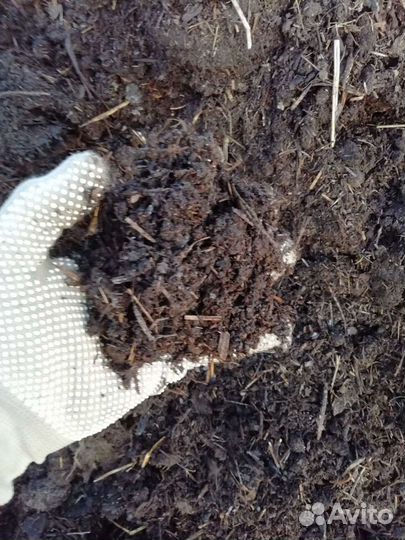 Перегной, чернозем