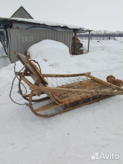 Сани телега для лошади