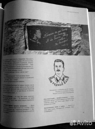 Высоцкий. Спасибо, что живой. Том 2. Я был душой