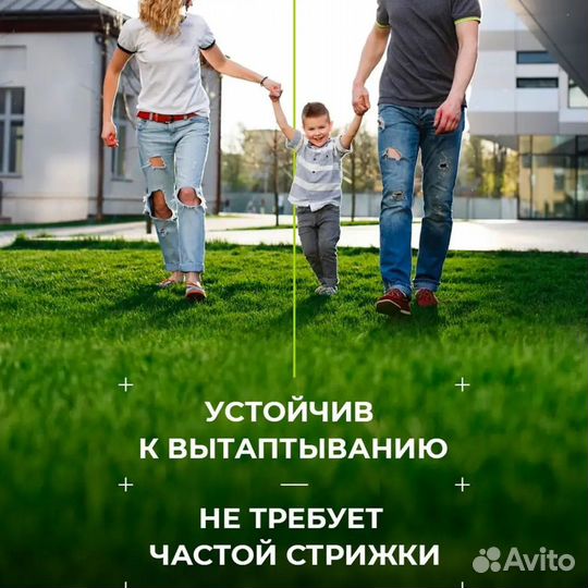 Посевной газон 