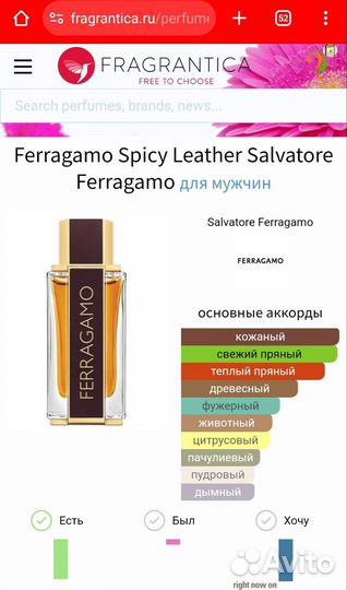 Salvatore ferragamo spicy leather 100мл