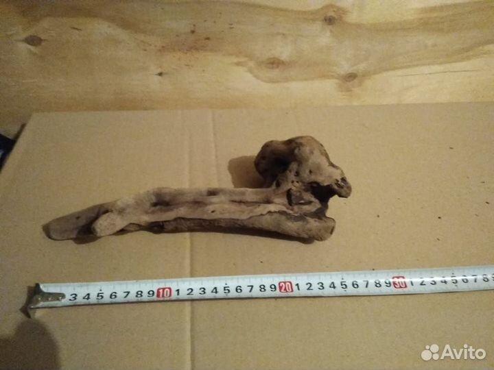 Коряги для аквариума