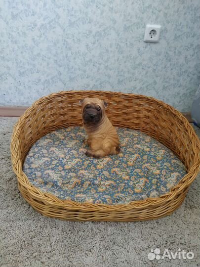 Лежанка для кошек плетеная