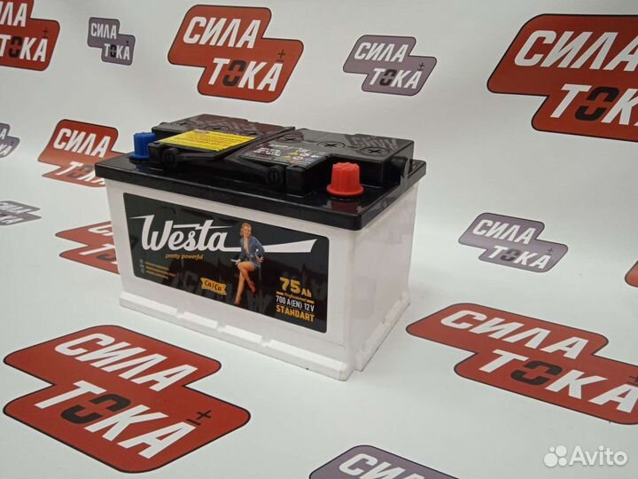 Аккумулятор на ford focus