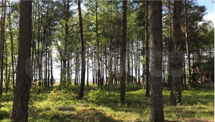 Участок 40 сот. (СНТ, ДНП)