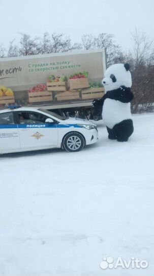 Поздравление от Мишки Панды