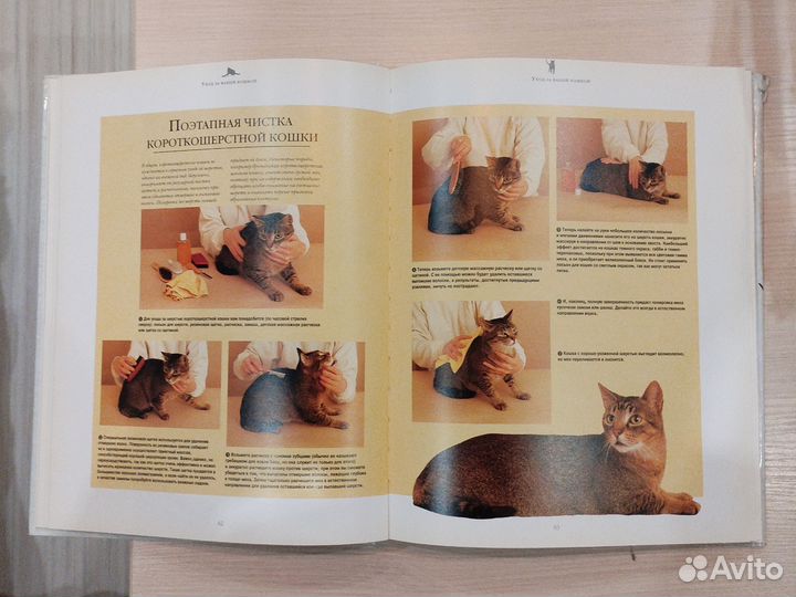 Энциклопедия о кошках