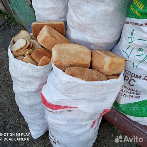 Хлеб для животных