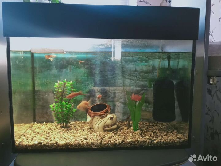 Аквариум