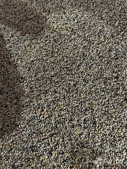 Отходы Просо