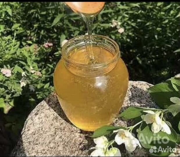 Вкуснейший акациевый мёд