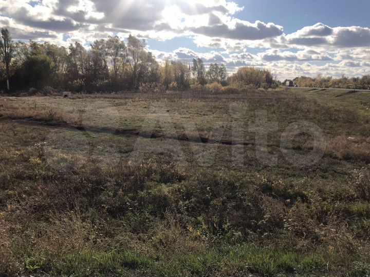 Участок 25 га (ИЖС)