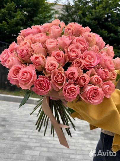 Роза 51шт, 60см.Доставка Калининград
