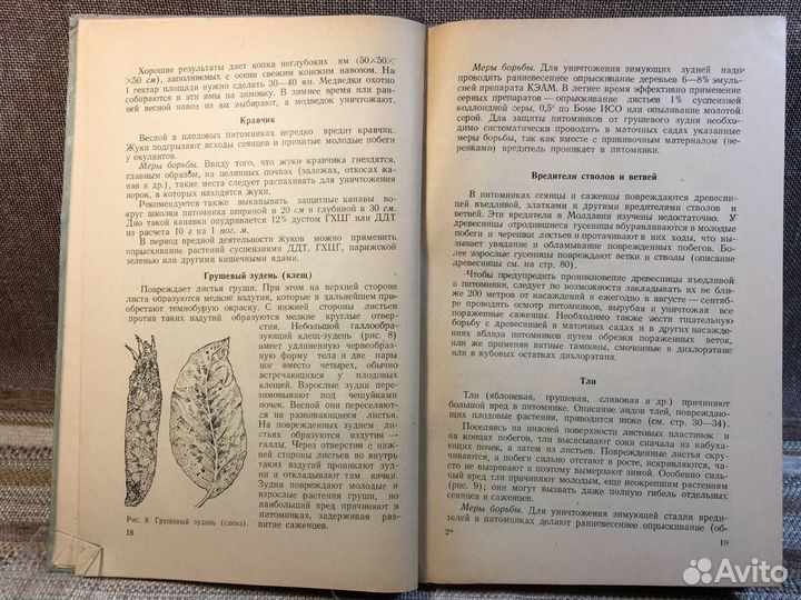 Вредители и болезни плодовых в Молдавии. 1954 год