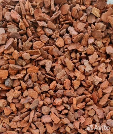 Кора Пинии Португальской аналог Орхиаты10-15 мм 5л