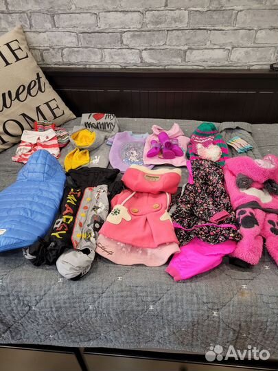 Одежда для собак на доставке