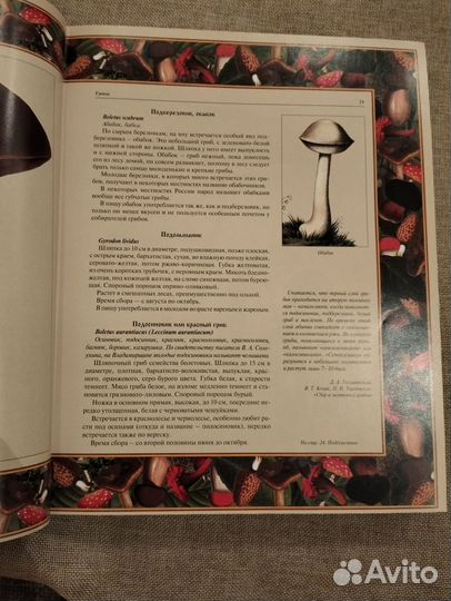 Подарочная книга русский лес: 