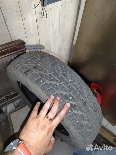 Tigar Winter 185/65 R15