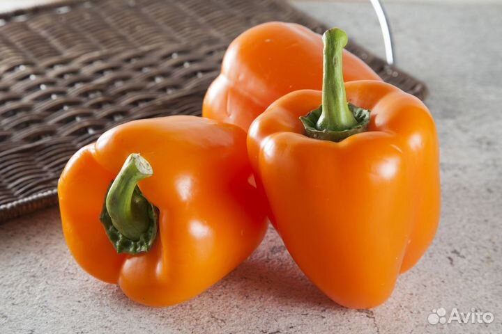 Рассада перца сладкого