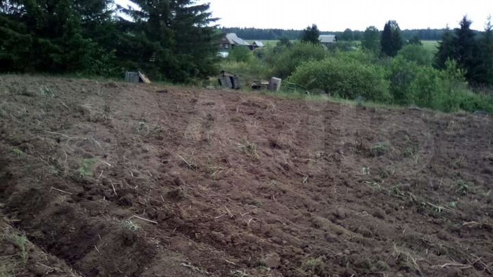 Участок 50 сот. (ИЖС)