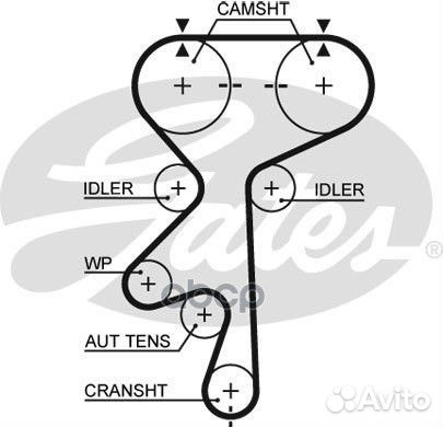 Ремень грм chevrolet 2.4 06- / daewoo / opel 2.2