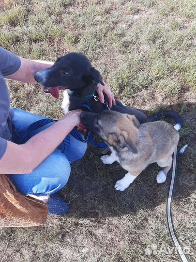 Мальчишки в добрые руки,5 мес