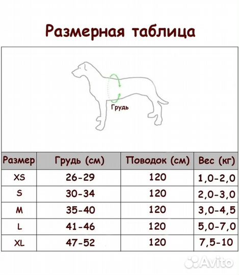 Шлейка для маленькой собаки