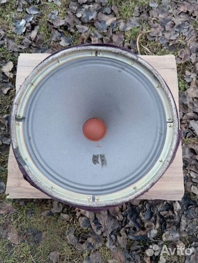 Динамики кинамп