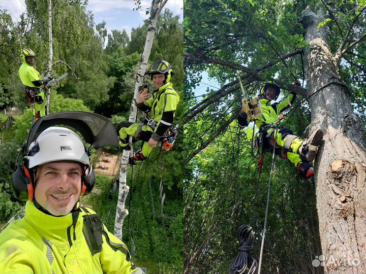 Спил и удаление деревьев. Обрезка веток