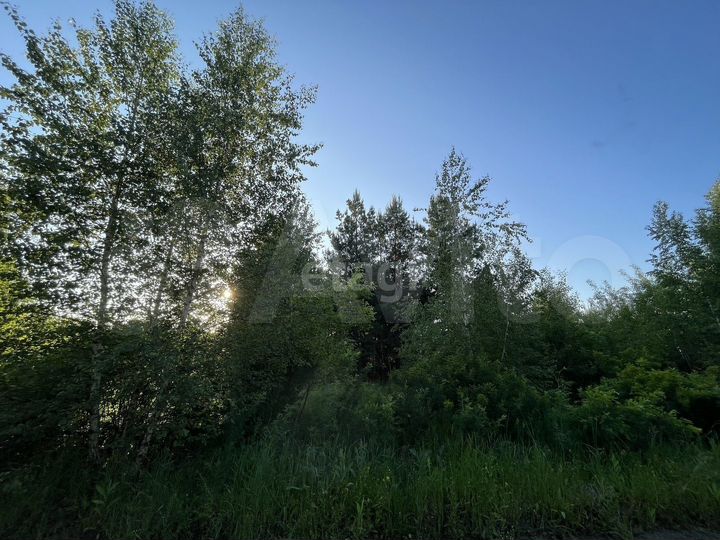 Участок 9 сот. (СНТ, ДНП)