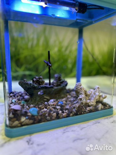 Аквариум 9 литров